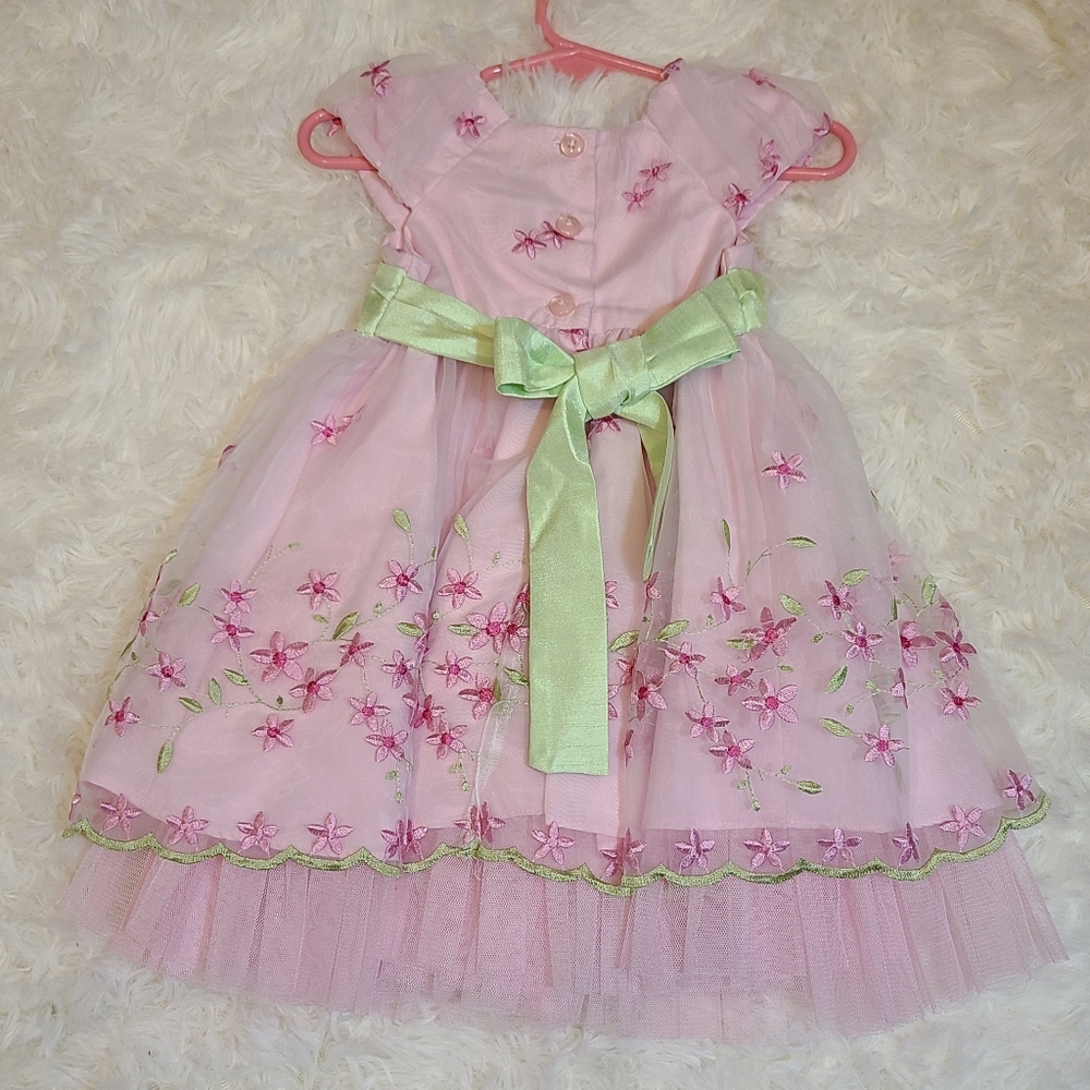 Jona Michelle Pink Green Embroidered Tulle Special Dress Floral Accents 12 Mo. - Picture 4 of 9